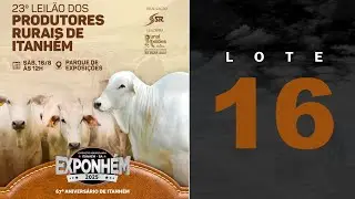 LOTE 16 Edson Almeida