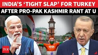 &lsquo;Why Mum On Terroristan?&rsquo;: India&rsquo;s THUNDEROUS Attack On Turkey After Kashmir Rant At UNGA
