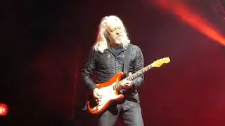 GREAT Guitar Solo - Tears for Fears - Shout - Live Concert 2022 - Shorts