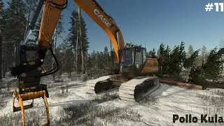THE TREES KEEP FALLING!! Pollo Kula P11 FS25
