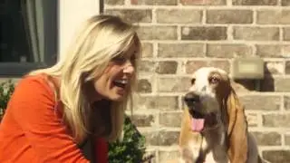 How To Avoid Dog Teeth Problems with Pettura Oral Health