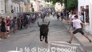 Pérols ▶concours de Bandido◀ 07.08.2025.