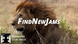 LION KNGS - Zamunda
