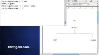 Using mkdir (make directory) command in Linux