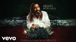 Diego El Cigala - Bésame Mucho (Audio)