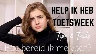 HELP IK HEB TOETSWEEK: TIPS & TRICKS | R O S A L I E