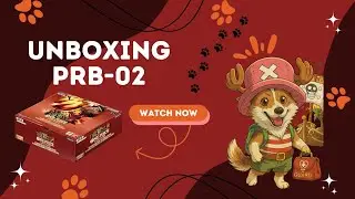 Unboxing more PRB-02! Can we get another GOLD DON!!? 👀👀