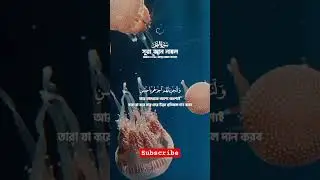 surah nahl #viralvideo #trending #foryou #quranrecition #shorts