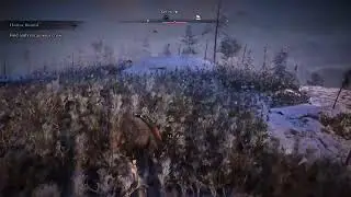 Assassins creed Valhalla