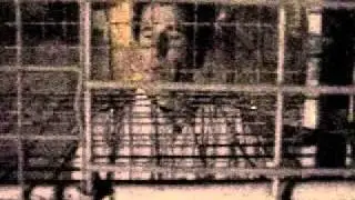 wAR ... *2001* vIDEO sINGLE oF eP *iNSIDE* fROM cLINGER