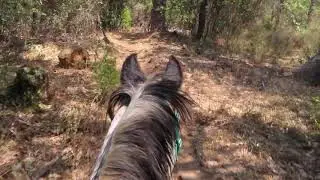 2020-0920 Sugar Pine Trail with Jigs MVI 2763