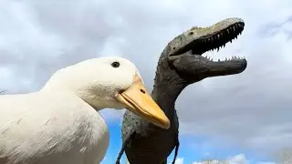 Wrinkle goes to a Dinosaur Museum