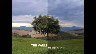 TheVault - The Large Reserve