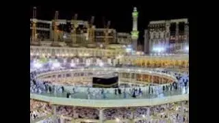 Habie Dawar by wasiq bhai