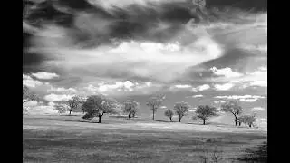 Digital Infrared 2: LifePixel IR converted camera around Goulburn NSW Australia
