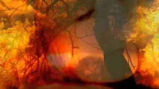 Just for Fun - In music we trust