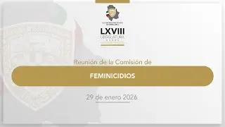 Reunión Comisión de Feminicidios - 29 enero 2026