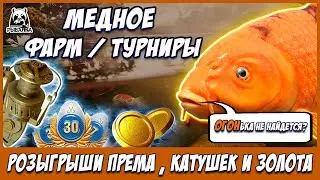 МЕДНОЕ РАЗДАЁТ ?💥НЕПРОПУСТИ РОЗЫГРЫШИ💥КАТУШКИ ЗОЛОТО ПРЕМЫ 🔴 РУЛЕТКИ КАЖДЫЕ 20 Минут 🎁 #СТРИМ #РР4