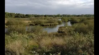 Taking a walk on a sunny day in a Dutch park