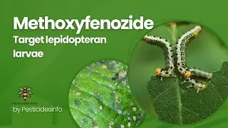 Methoxyfenozide Insecticide: Mode of Action, formulation, Uses, and Benefits for Pest Control