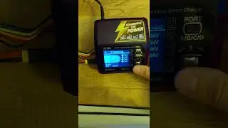 SKYRC Q200 NEO - All balance port failure?