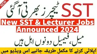 New SST & Lecturer Jobs Announced 2024 - Secondary School Teachers New Jobs - Lecturer Jobs 2024