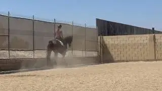 Bucky Flat Training