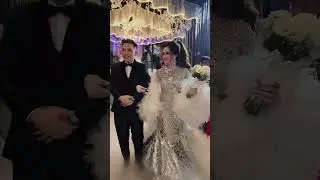 WEDDING RESEPSI ANAS FIKRY DAN ADELIA REGINA #riaspengantin #anasfikry #shorts