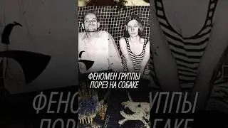 Феномен группы ПОРЕЗ НА СОБАКЕ