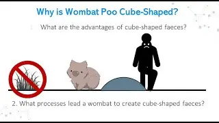 PitP23 Why is Wombat Poo Cube-Shaped? by Jack Foster, Sydney University
