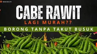 Simpan Cabe Rawit Awet Tanpa Kulkas Khusus - Bisa 2 Bulan Lebih - Tips Belanja Cerdas