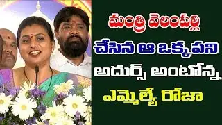 APIIC Chairman Roja Praises Minister Velam Palli Srinivasa Rao | Andhra Timez
