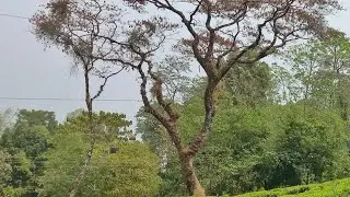 Pains in Bankura😌😌II an #eyeopeningfacts😥😌 I aapni ki sunchen🤔🤔 I #Abritty#trendingshorts#life&death