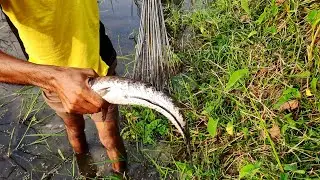Tata fishing Soil - New Tata Fishing Method in the Village - Tata fishing 2020 P-143
