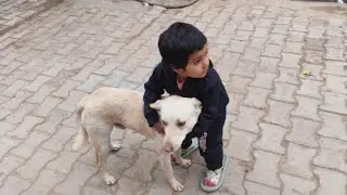Pari Or max ki dosti 🤣