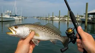 Fishing for speckle trout in a marina! - MISSED A TANK!