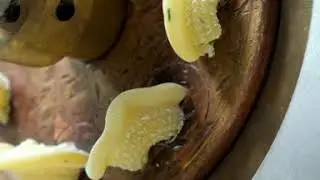 From Scratch Mac-n-Cheese | Druthers Brewing