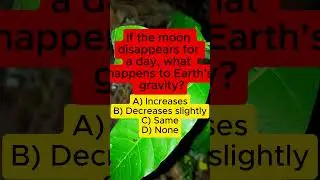 Moon Disappears = Gravity Change? 🌕 Science Quiz | IQ VistaX#didyouknow #educationalshorts