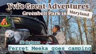 1st Campground ⛺️ in Maryland, it's Freeze 🥶 Prius Camping with Ferret 