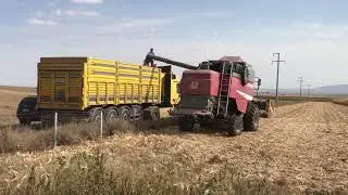 LAVERDA M200E DANE MISIR BİÇİMİ Eskişehir/Beyazaltın Köyü