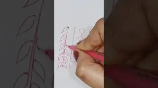 #Sindhi graph design #short #viral #Islamic