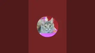 Chocho the Explorer is live! Hello Manila Philippines