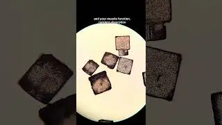 Соль &mdash; это забавно #наука #микроскоп #микробиология #учимся #микроскоп