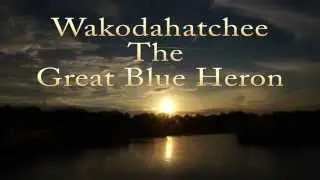 Wokodahatchee Today Great Blue Heron 12.22.2014