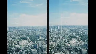 羽夏