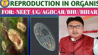 #जीवों में जनन#Reproduction In Organism#chap-1#Internal budding# आंतरिक मुकुलन्#12th#NEET#AG-2022