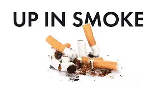 How Innovation Can Make Cigarettes Obsolete | Daniel Pryor