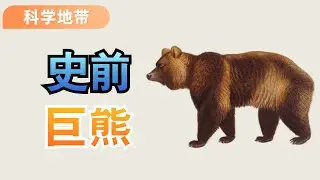 今天帶你們看一看，有史以來最大巨熊