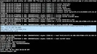 Sysdig CCWFS 2016 - Session 7 - Troubleshooting Kubernetes - Gianluca Borello