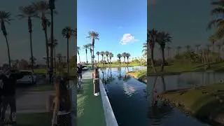 Pink Flamingo&rsquo;s in Palm Desert, California at the JW Desert Springs Marriott.